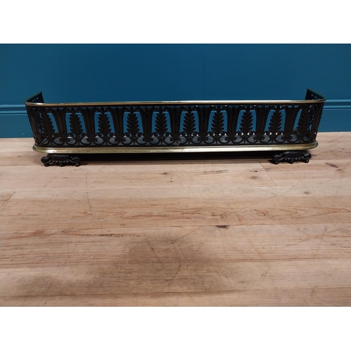 134 - Regency brass and metal fender {22 cm H x 106 cm W x 25 cm D}.