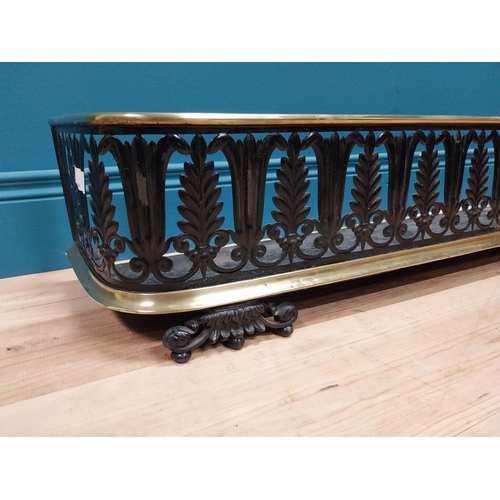 134 - Regency brass and metal fender {22 cm H x 106 cm W x 25 cm D}.