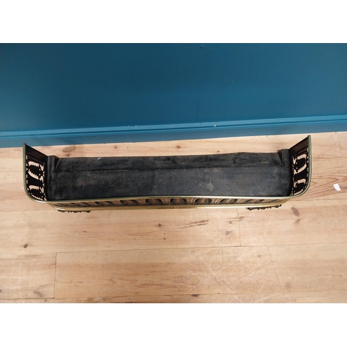 134 - Regency brass and metal fender {22 cm H x 106 cm W x 25 cm D}.