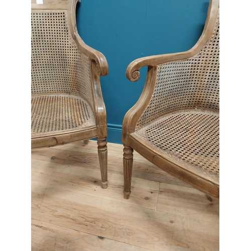 194 - Pair of 19th C. mahogany library chairs with Berger seats raised on reeded legs {87 cm H x 63 cm W x... 