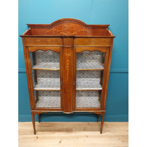 225 - Edwardian mahogany and satinwood inlaid side cabinet with two glazed doors raised on square tapered ... 