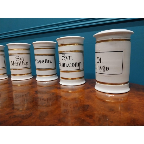 260 - Set of six early 20th C. ceramic and gilded lidded chemist jars {16 cm H x 11 cm Dia.}.