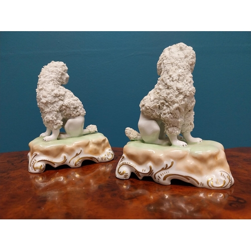 266 - Pair of early 20th C. French ceramic models of Poodles {13 cm H x 10 cm W x 7 cm D}.