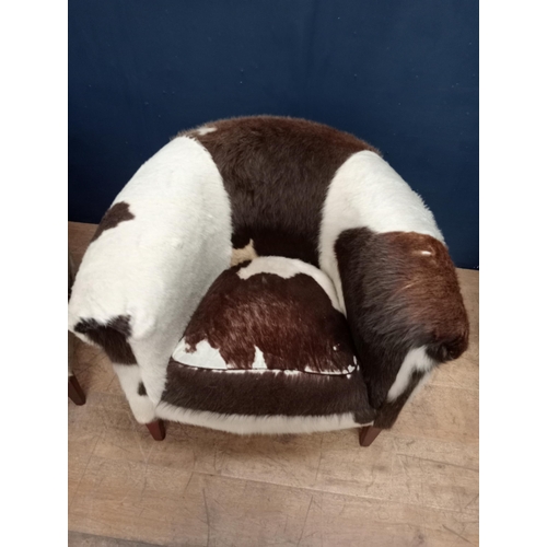 303 - Pair of cow hide tub chairs raised on square tapered legs {H 70cm x W 80cm x D 70cm }.