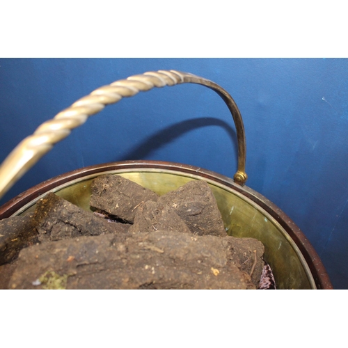 319 - Pair of Irish mahogany spiral peat buckets with brass mounts {H 66cm x Dia 50cm }.