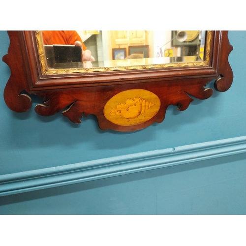 37 - 19th C. mahogany and partial gilt pier mirror {90 cm H x 50 cm W}.