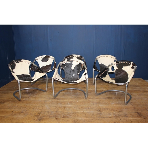 413 - Set of six Retro cowhide and chrome tub chairs {H 68cm x W 64cm x D 50cm }.