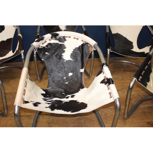 413 - Set of six Retro cowhide and chrome tub chairs {H 68cm x W 64cm x D 50cm }.