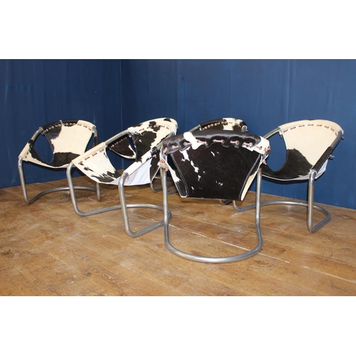 413 - Set of six Retro cowhide and chrome tub chairs {H 68cm x W 64cm x D 50cm }.