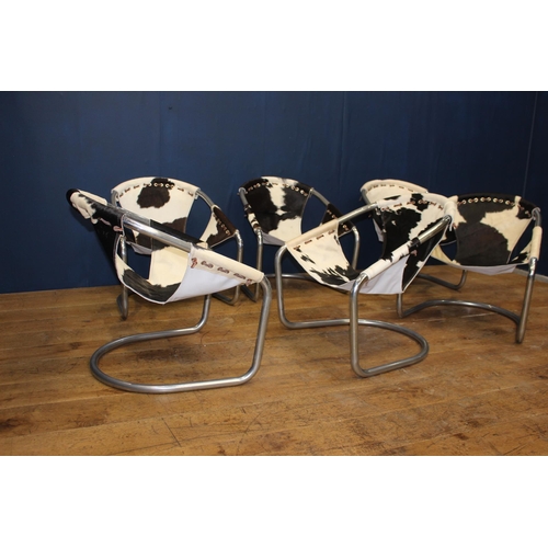 413 - Set of six Retro cowhide and chrome tub chairs {H 68cm x W 64cm x D 50cm }.