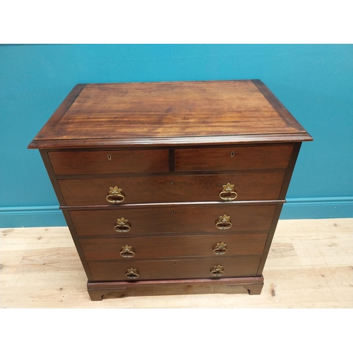 417 - Edwardian mahogany chest of drawers with two short drawers above four graduated drawers and brass ha... 