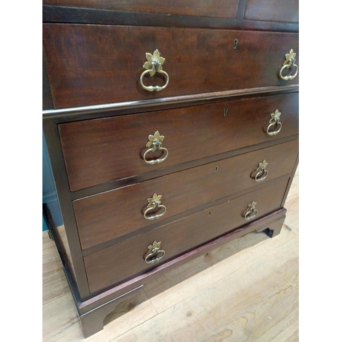 417 - Edwardian mahogany chest of drawers with two short drawers above four graduated drawers and brass ha... 