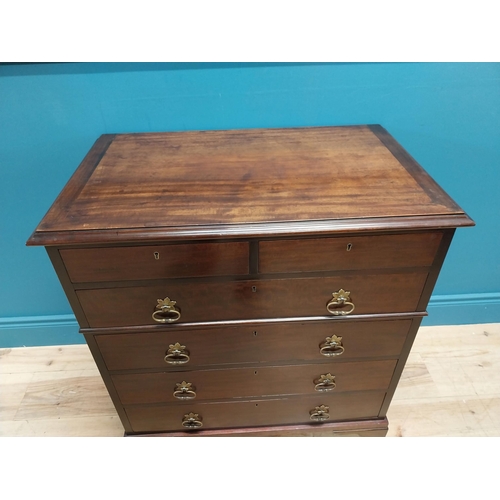 417 - Edwardian mahogany chest of drawers with two short drawers above four graduated drawers and brass ha... 