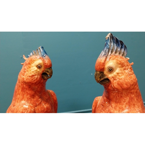 42 - Pair of early 20th C. Italian hand painted ceramic Parrots by R. Passari with damage {38 cm H x 13 c... 