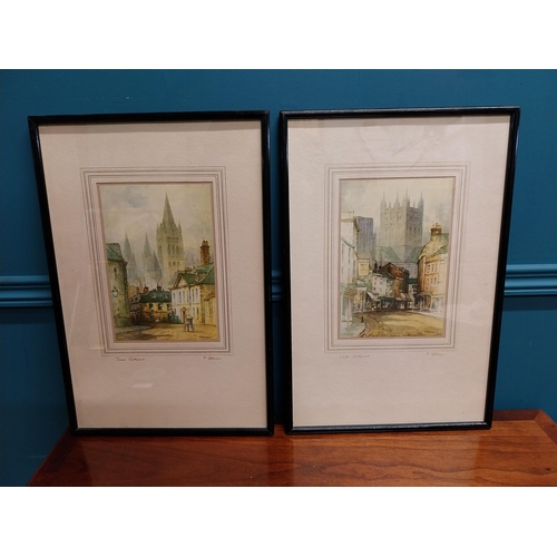 701 - Two Fetherstone Robson framed coloured prints. {47 cm H x 32 cm W}.