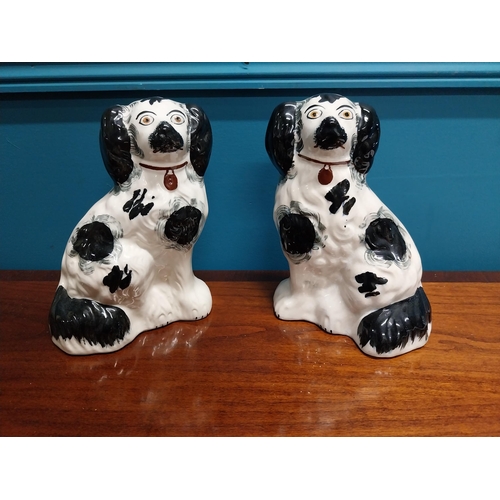 702 - Pair of Victorian hand painted Staffordshire Dogs. {17 cm H x 22 cm W x 12 cm D}.