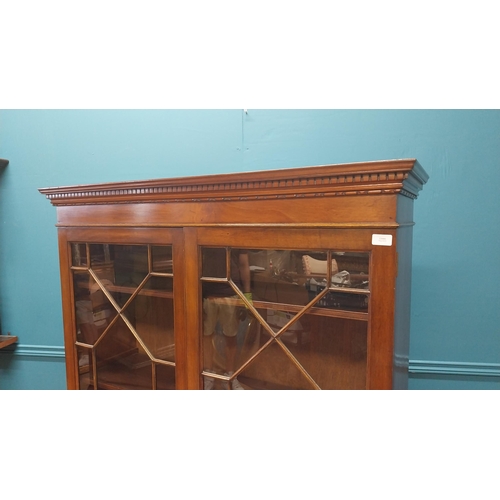 75 - Good quality Edwardian mahogany display cabinet on stand with two astral glazed doors above two shor... 