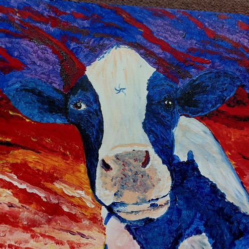 18 - Acrylic on canvas Friesian Cow, signed by Moira Leddy {51cm H x 40cm W}