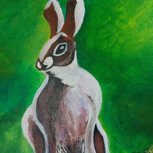 28 - Framed acrylic on board - A Rabbit, signed Kate. {45 cm H x 40 cm W}.