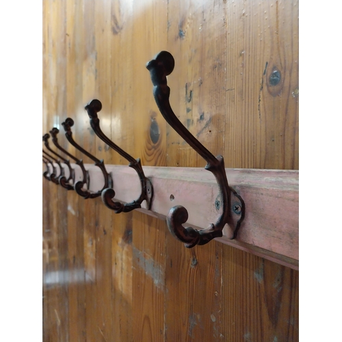 126 - Cast iron wall hangers mounted on painted pine frame {17 cm H x 134 cm W x 11 cm D}.