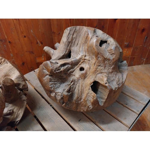 141 - Pair of wooden root ball sculptures {40 cm H x 41 cm Dia.}.