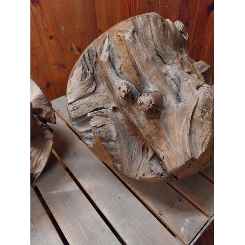 141 - Pair of wooden root ball sculptures {40 cm H x 41 cm Dia.}.