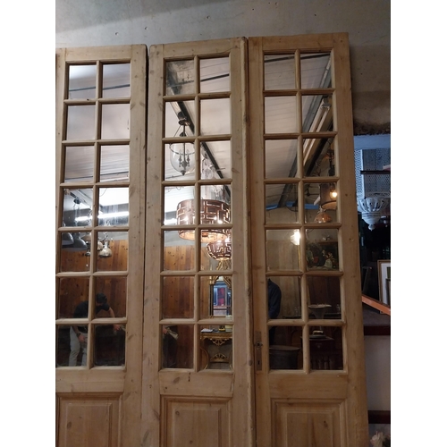 172 - Good quality set of 19th C. stripped pine doors with mirrored panels {271 cm H x 223 cm W x 5 cm D}.