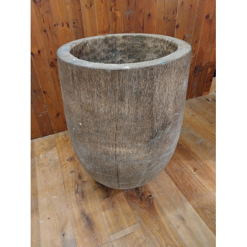 244 - Large Coconut tree urn {99 cm H x 73 cm W x 73 cm D}.