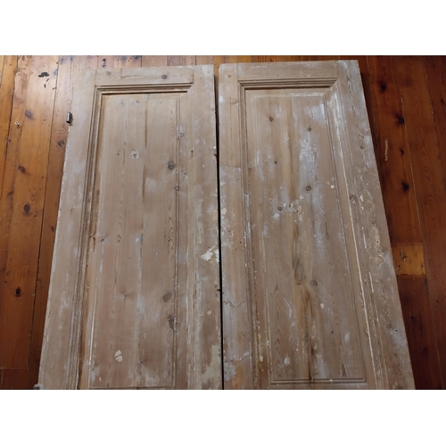 312 - Pair of 19th C. stripped pine panelled doors {237 cm H x 110 cm W x 5 cm D}.