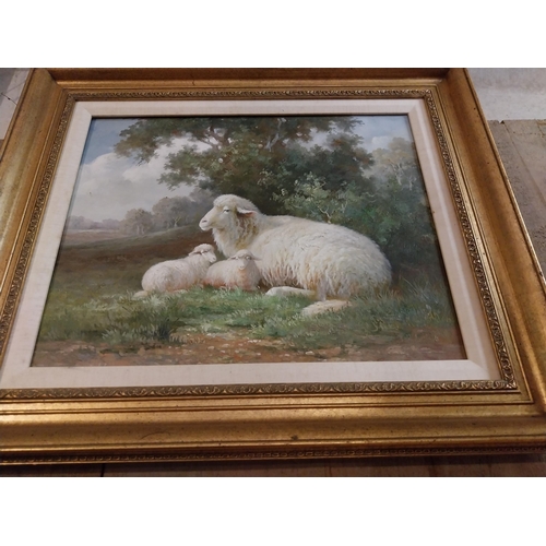 326 - Oleograph Sheep mounted in gilt frame {60 cm H x 70 cm W x  cm D}.