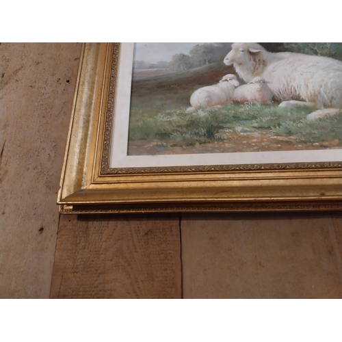 326 - Oleograph Sheep mounted in gilt frame {60 cm H x 70 cm W x  cm D}.