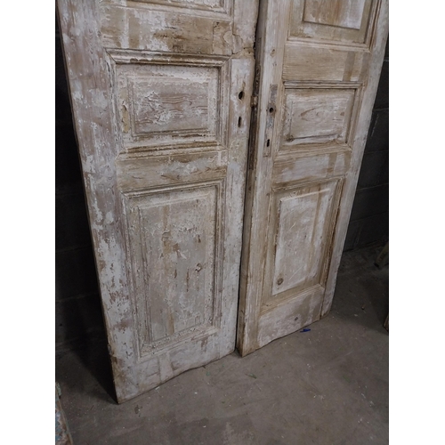 561 - Pair of 19th C. distressed pine panelled doors {240 cm H x 50 cm W x 6 cm D}.