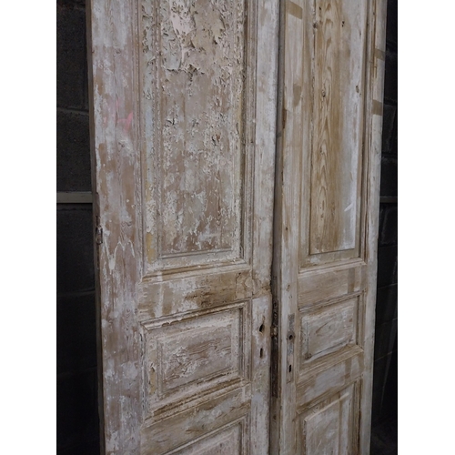 561 - Pair of 19th C. distressed pine panelled doors {240 cm H x 50 cm W x 6 cm D}.