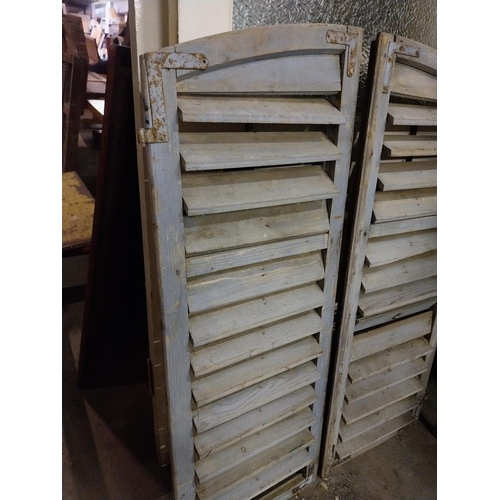 605 - Pair of 19th C. painted pine Louvre window shutters {112 cm H x 44 cm W x 4 cm D}.