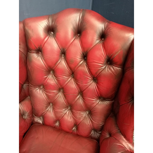 305 - Leather deep buttoned wingback armchair {H 106cm x W 78cm x D 74cm }.