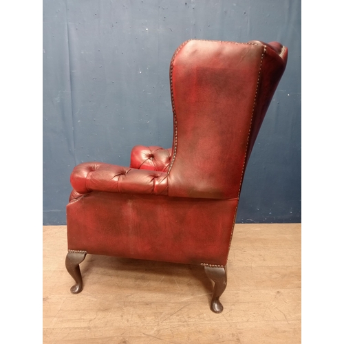 305 - Leather deep buttoned wingback armchair {H 106cm x W 78cm x D 74cm }.