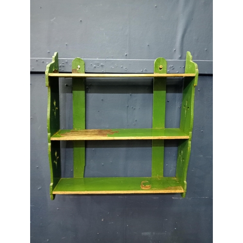 407 - Green wall rack