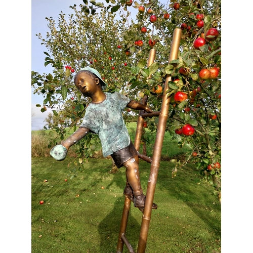 372 - Exceptional quality bronze sculpture The Apple Picker on a ladder {205cm H x 102cm W x 50cm D}