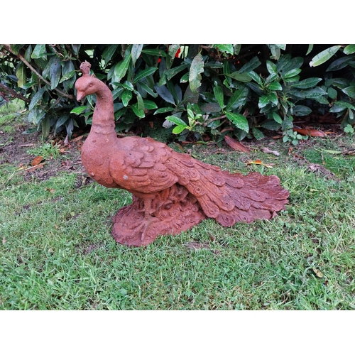 271 - Good quality cast iron model of a peacock {32cm H X 42cm W x 22cm D}