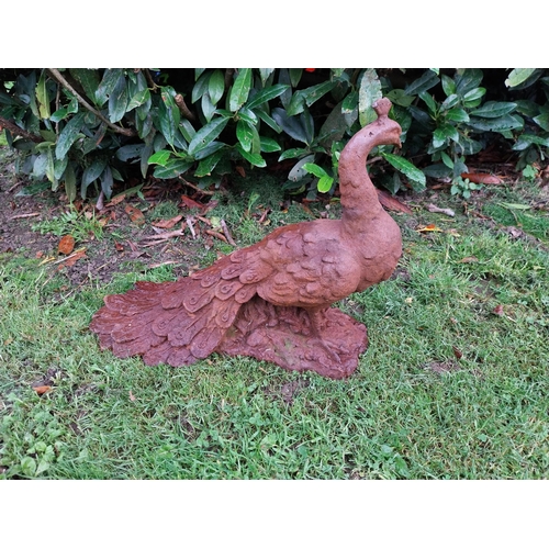 271 - Good quality cast iron model of a peacock {32cm H X 42cm W x 22cm D}