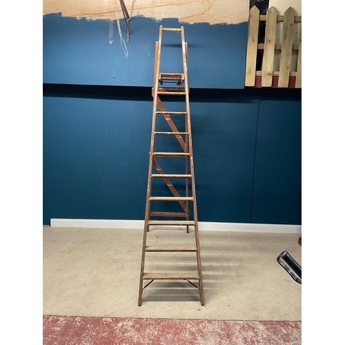 593 - Tall, slim stepladder made by Slingsby, England {290cm H x 48cm W}