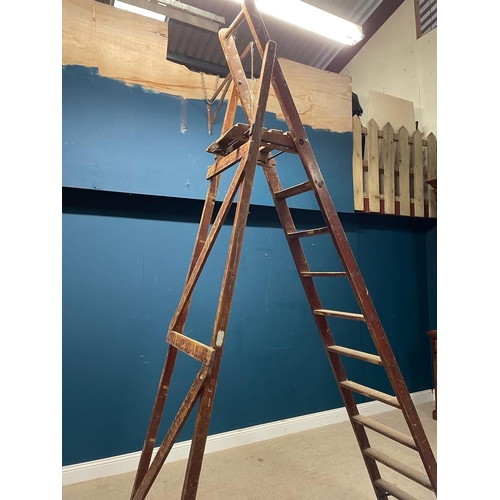 593 - Tall, slim stepladder made by Slingsby, England {290cm H x 48cm W}