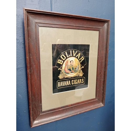 45a - Bolivar Havana Cigar framed advertising print {H 38cm x W 33cm }.