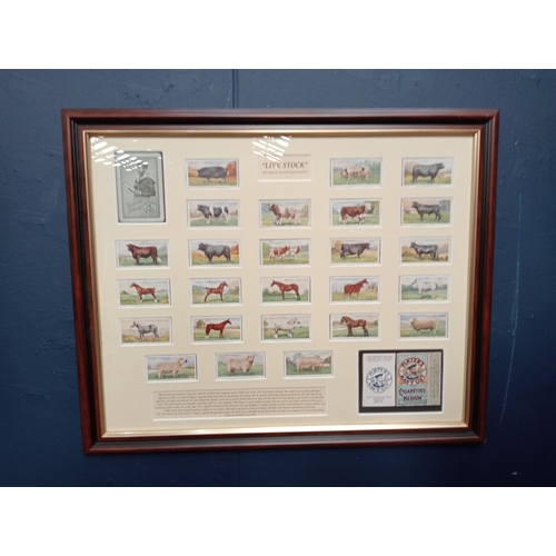 815a - Framed John Players and Sons Live Stock cigarette cards {H 46cm x W 56cm }.