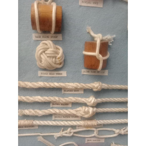 166 - Framed montage of various knots. {H 48cm x W 54cm x D 5cm}.