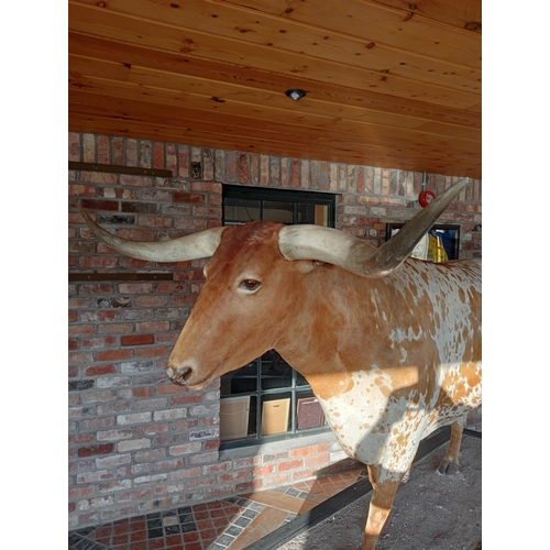 266 - Taxidermy model of Texas longhorn bull. {H 190cm x W 270cm x D 84cm }.