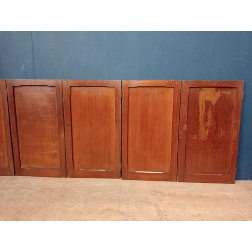 287 - Collection of twelve pitch pine small doors-panels. {Each H 76cm x W 43cm Overall W 516cm }.