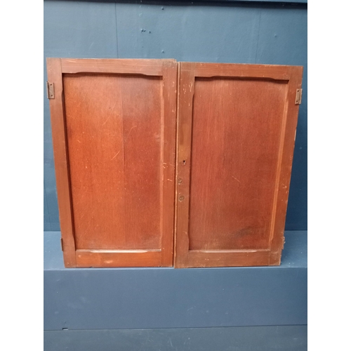 287 - Collection of twelve pitch pine small doors-panels. {Each H 76cm x W 43cm Overall W 516cm }.