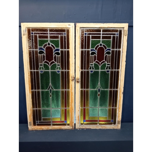 428 - Pair of cast iron leaded stain glass windows with brass handles {Each H 128cm x W 58cm x D 3cm}.