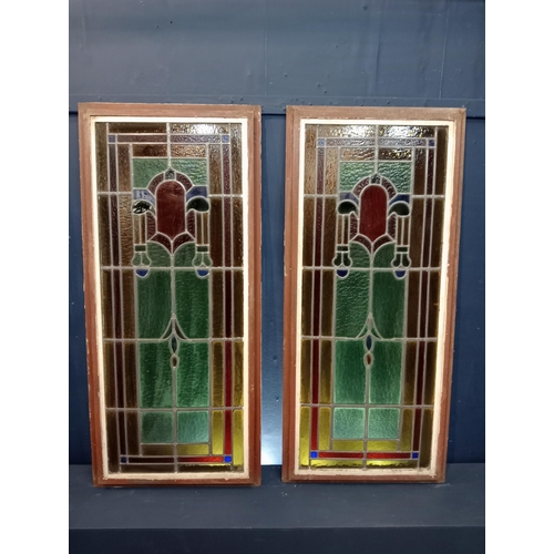 428 - Pair of cast iron leaded stain glass windows with brass handles {Each H 128cm x W 58cm x D 3cm}.